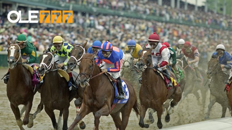 Giải đấu Kentucky Derby diễn ra ở Bắc Mỹ